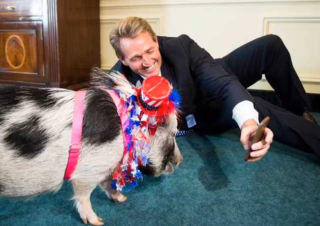 Thượng nghị sĩ Mỹ Jeff Flake chụp ảnh selfie với chú lợn trước một buổi họp báo về "pork barrel" (một từ tiếng lóng để chỉ tiền của chính phủ chi cho các công trình địa phương nhằm để giành phiếu bầu).