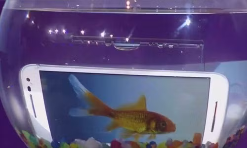 10 buoc de cuu dien thoai bi dinh nuoc