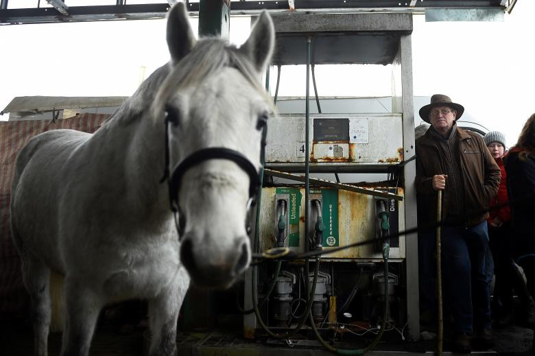 Người nông dân và chú ngựa trú mưa trong một trạm xăng bỏ hoang.
