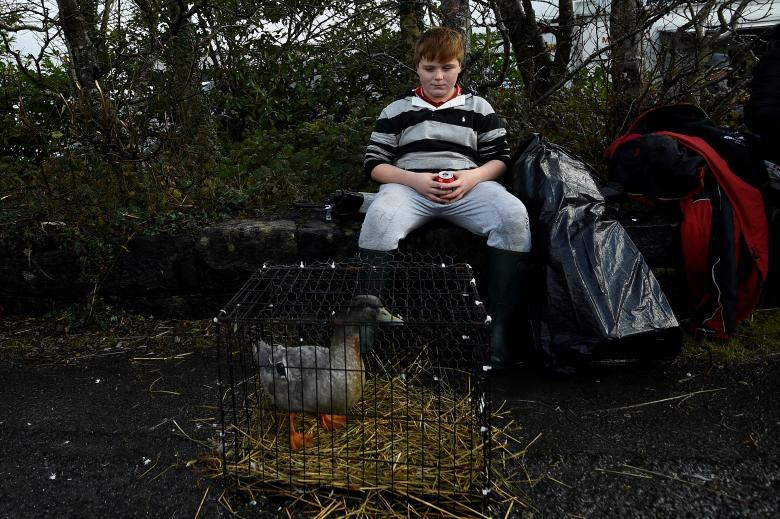 Bé trai ngồi bán vịt tại hội chợ Maam Cross.