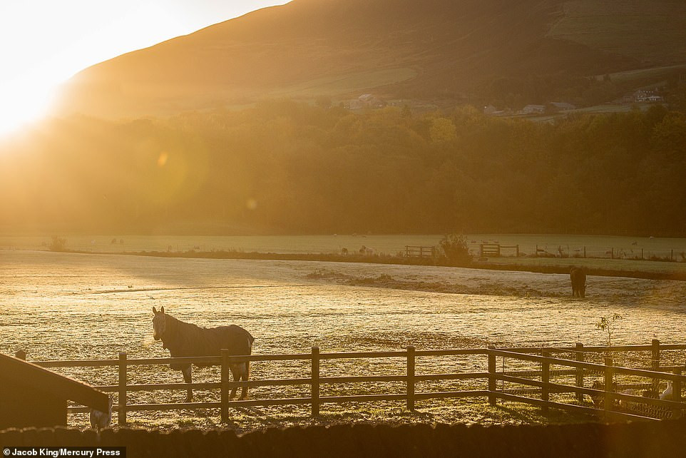 Dam chim trong canh sac mua thu dep nao long o nuoc Anh-Hinh-10