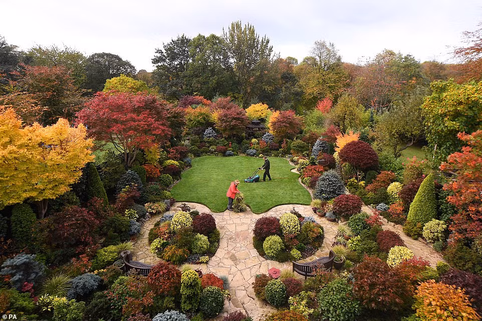 Lá cây chuyển màu đỏ, vàng và cam trong một khu vườn ở Walsall.