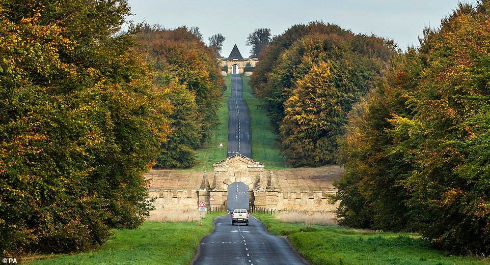 Dam chim trong canh sac mua thu dep nao long o nuoc Anh-Hinh-9