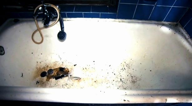 “Người nông dân đang tìm vợ. Tôi là một người tử tế, tốt bụng và lịch sự”, một trong những mẩu quảng cáo viết.