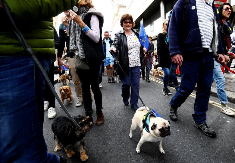 Kinh ngac ca nghin chu cho tham gia bieu tinh phan doi Brexit-Hinh-8