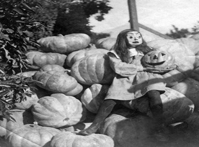 Một người đeo mặt nạ chụp ảnh bên những quả bí ngô dịp Halloween.