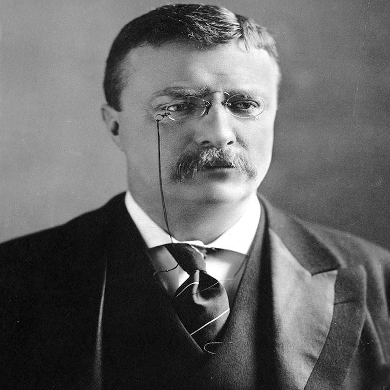 Ngac nhien danh sach Tong thong My tung doat giai Nobel Hoa binh?-Hinh-2