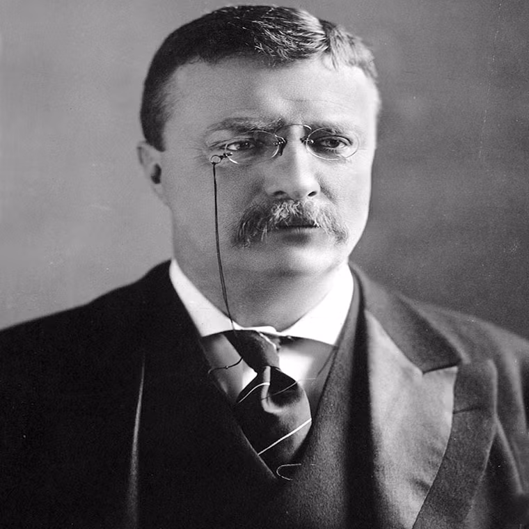 Ngac nhien danh sach Tong thong My tung doat giai Nobel Hoa binh?-Hinh-2