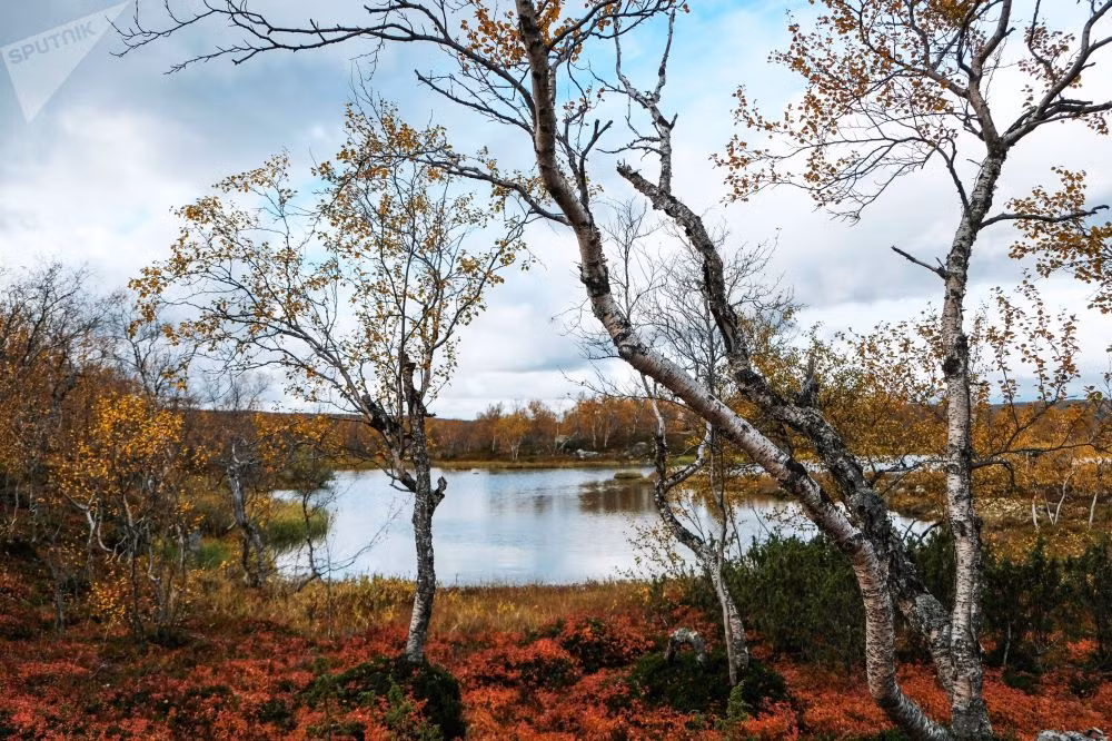 Murmansk ở bán đảo Kola có phong cảnh thiên nhiên tuyệt đẹp, thu hút đông đảo du khách.