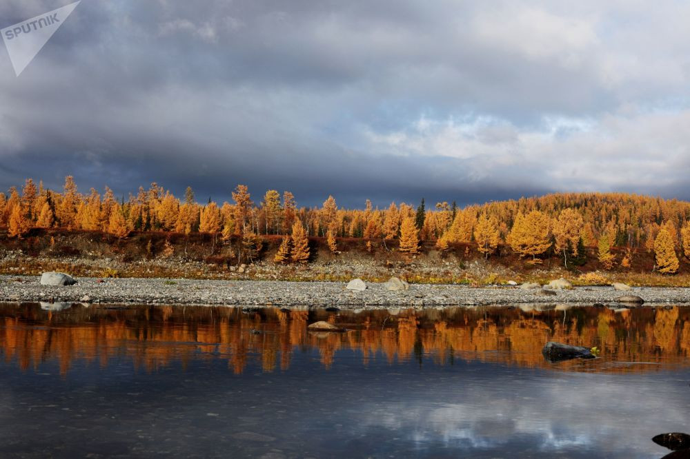 Canh sac mua thu me dam long nguoi cua nuoc Nga-Hinh-5
