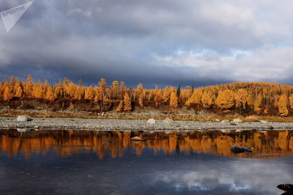 Canh sac mua thu me dam long nguoi cua nuoc Nga-Hinh-5