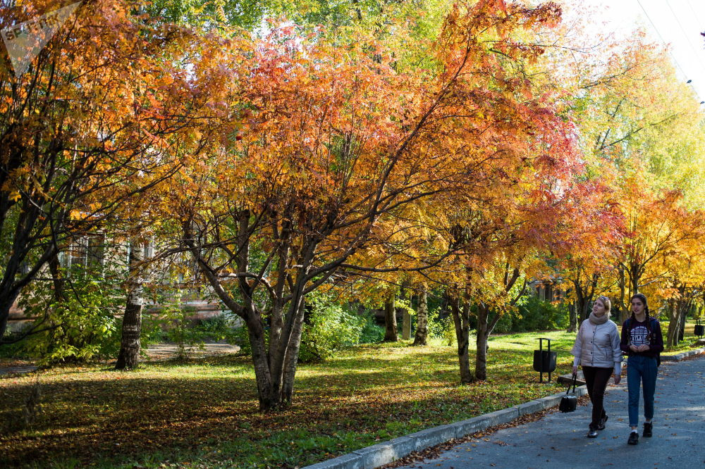 Canh sac mua thu me dam long nguoi cua nuoc Nga-Hinh-8