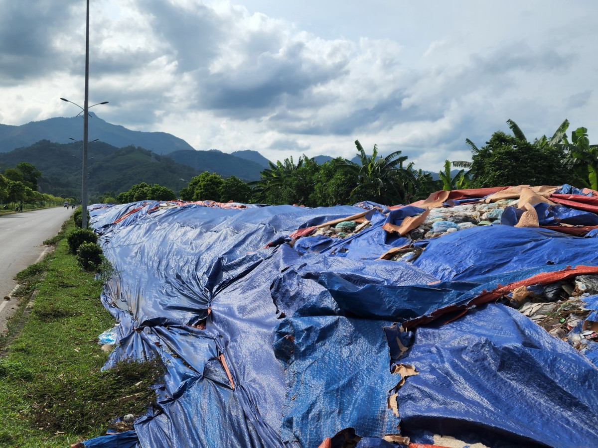 PV Báo Tri thức và Cuộc sống đã liên hệ với UBND phường Tân Hòa để làm rõ thông tin phản ánh nhưng vẫn chưa được phản hồi.