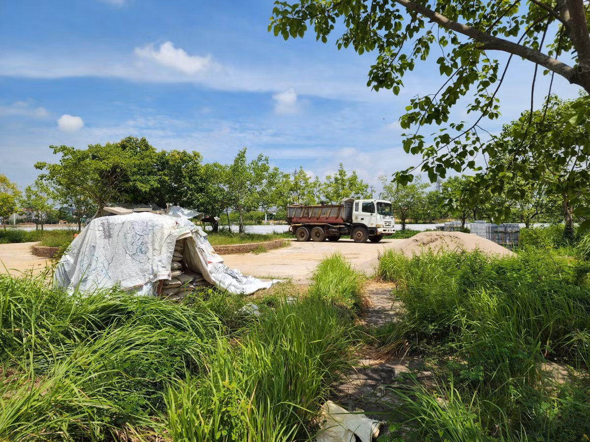 Quảng trường rộng hàng chục hecta ở Ninh Bình biến thành những bãi cỏ dại mọc tốt um tùm ngay giữa lòng thành phố.