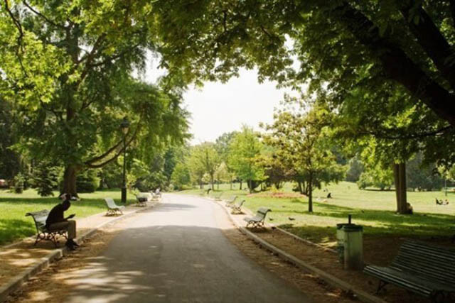 10. Parc Montsouris: Công viên xinh đẹp này nằm ở phía nam trung tâm thành phố, nơi này thoạt trông rất bình dị để đi dạo buổi chiều hoặc đi dã ngoại ăn trưa, nhưng hãy cẩn thận vì du khách có thể bắt gặp một số hồn ma không đầu. Parc Montsouris trước đây được cho là khu vực thử nghiệm của máy chém, máu tươi được nhuộm đỏ cả một vùng.