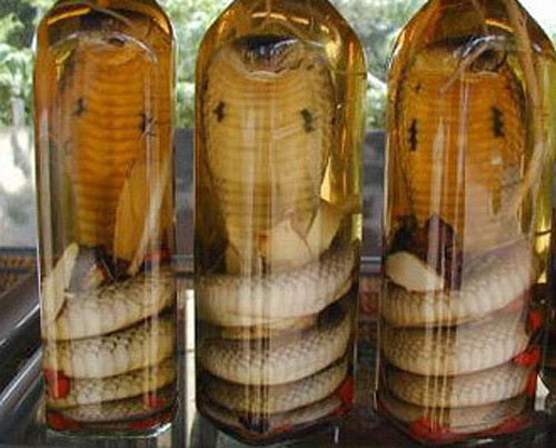 Cô cũng ngạc nhiên với rượu rắn ở Việt Nam, làm bằng cách ngâm cả con rắn trong rượu gạo. Ngoài ra cô cho biết nhiều du khách đến Việt Nam đều yêu thích món cà phê sữa đặc trưng của người Việt.