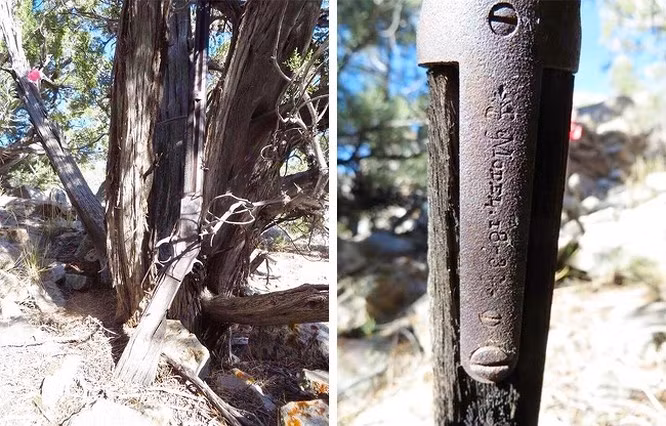  7. Súng trường Winchester năm 1873: Cây súng Winchester này được tìm thấy tại Vườn Quốc gia Great Basin ở Utah trong tình trạng dựng dựa vào một cái cây. Vào những năm 1870, rất nhiều khu mỏ và trang trại khai thác khu vực này. Thật đáng kinh ngạc khi không ai chạm vào khẩu súng trường đó trong hơn 100 năm.
