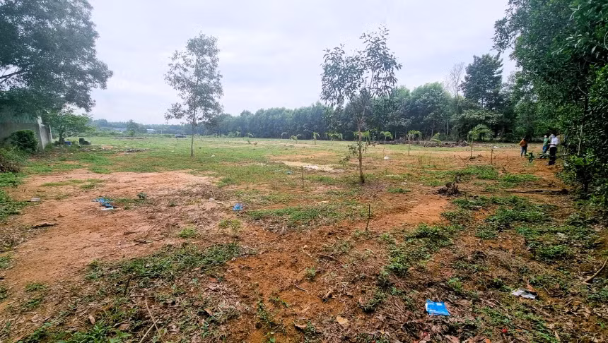 Đồng Nai sẽ thu hồi 3.700 ha đất nông nghiệp để làm dự án Dong Nai se thu hoi 3.700 ha dat nong nghiep de lam du an