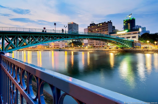 Cầu Mống là một cây cầu bắc qua rạch Bến Nghé, nối liền giữa Quận 1 và Quận 4, TP. Hồ Chí Minh. Đây được coi là một trong những cây cầu cổ xưa nhất tại thành phố này. Cầu được thiết kế với những dầm thép kết nối với nhau theo kỹ thuật cổ đỡ khung vòm cong mềm mại.