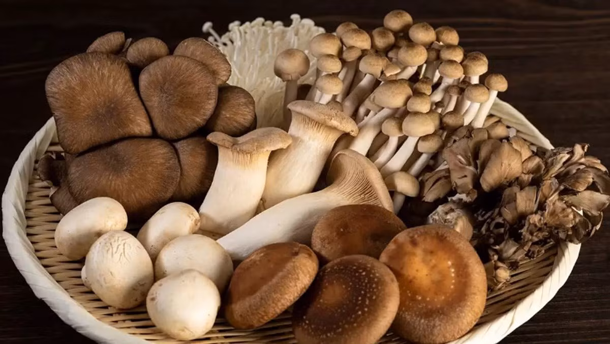  Nấm: Nấm có khả năng thúc đẩy quá trình sản sinh ra cytokine giúp chống lại virus cúm. Nấm cũng có chứa polysaccharides - loại hợp chất hỗ trợ hệ miễn dịch. Hãy tối ưu hóa hệ miễn dịch của bạn bằng cách thêm nấm vào thực đơn của gia đình.