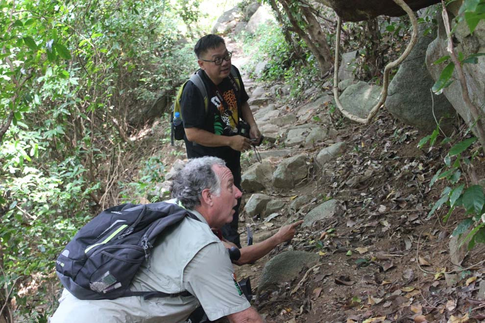 Hiện các nhà khoa học rất quan tâm đến việc bảo tồn loài động vật đặc biệt quý hiếm này. Nhiều chuyên gia của quốc tế đã đến khảo sát, tìm hiểu thực tế sự có mặt của loài tắc kè đuôi vàng trên đảo Hòn Khoai.