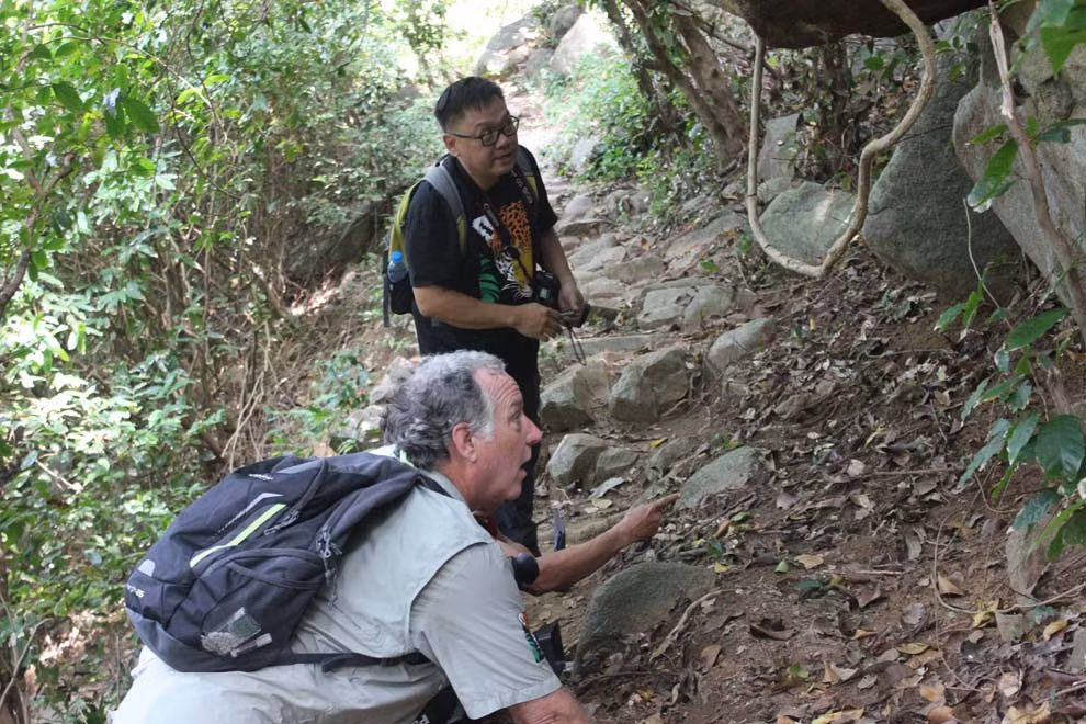 Hiện các nhà khoa học rất quan tâm đến việc bảo tồn loài động vật đặc biệt quý hiếm này. Nhiều chuyên gia của quốc tế đã đến khảo sát, tìm hiểu thực tế sự có mặt của loài tắc kè đuôi vàng trên đảo Hòn Khoai.