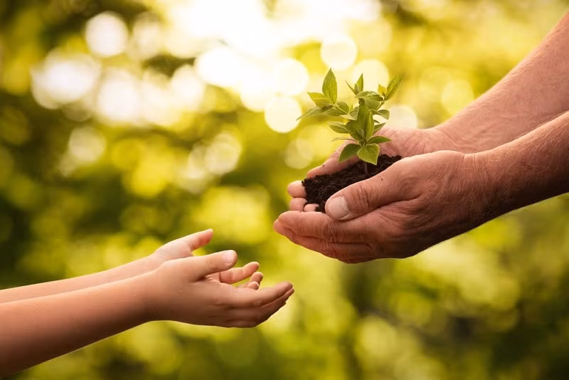 Suy cho cùng hạnh phúc không ở đâu xa, hạnh phúc luôn đồng hành cùng ta trên mọi nẻo đường, là hạnh phúc cầm tay. Đó là thông điệp Thiền sư Thích Nhất Hạnh muốn truyền tải.