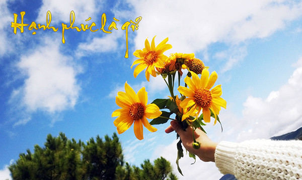 Nếu ta đi bên cạnh người ta thương nhưng ta thất niệm, tâm ta không ở đó, ta không thể hiểu hết được ý nghĩa của người bên cạnh ta và đó là sự dại dột và có khi trở nên tiếc nuối.