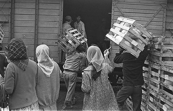 Cũng từ đây, các sản phẩm nông sản của xứ lạnh cũng tỏa khi khắp cả nước và ngược lại là các nông sản nhiệt đới cùng một lượng lớn khách du lịch. 