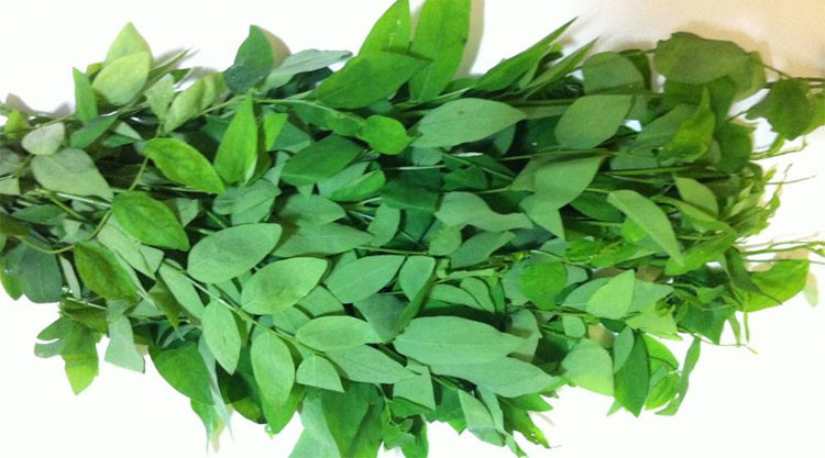  Rau ngót là thực phẩm có tính mát, vị ngọt. Không chỉ là món ăn dễ chế biến, ngon miêng, rau ngót còn có dụng giải nhiệt, giải độc, lợi tiểu, tăng tiết nước bọt, bổ huyết, cầm huyết, nhuận tràng, sát khuẩn, tiêu viêm, sinh cơ.