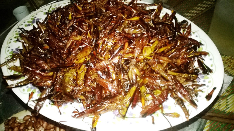 Tôm bay rán: Chúng cùng họ với cào cào, châu chấu nhưng mình thon dài, có nhiều càng. Món tôm bay có dư vị khá đặc biệt: thơm, béo, vị ngọt. Gia vị để chấm tôm bay là tương ớt trộn lẫn hạt mắc khén.