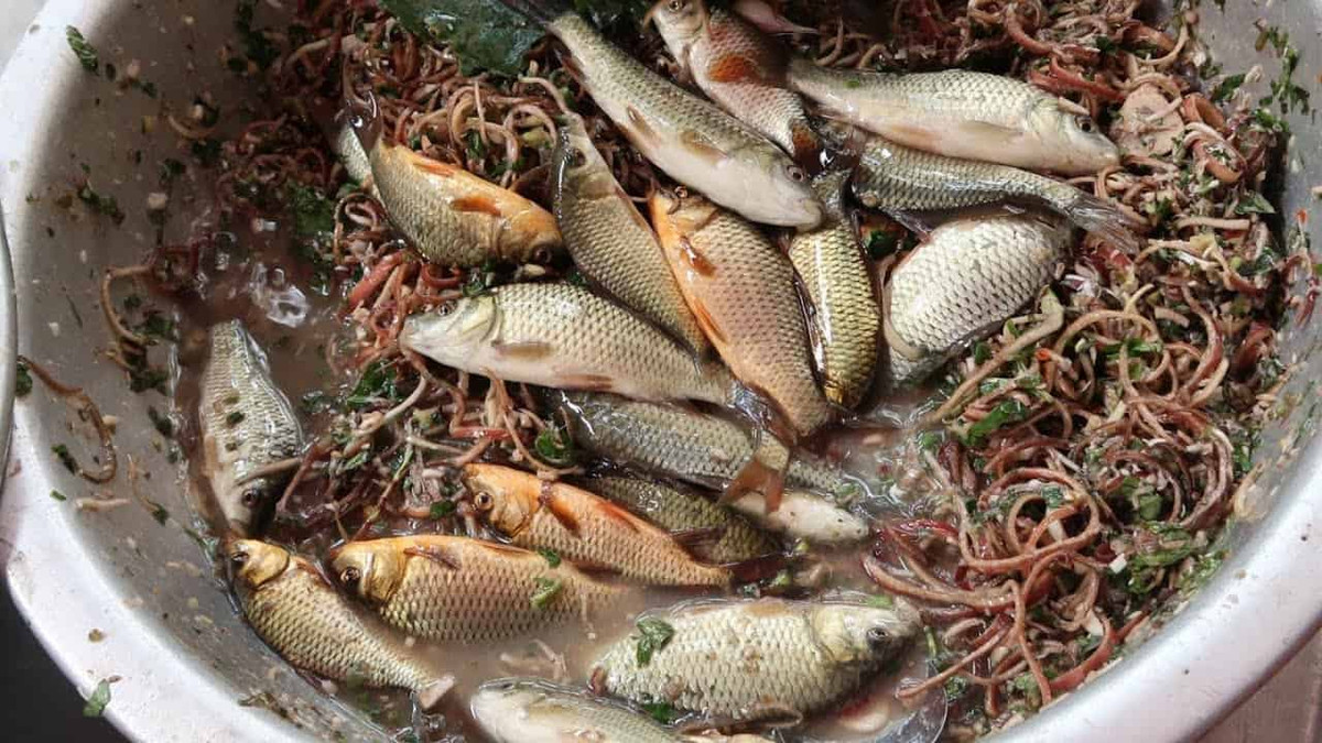 Món cá nhảy: Cá ngon nhất để chế biến món cá nhảy là cá chép con. Khi ăn, người ta thường bắt cá từ chậu, dùng dao nhỏ khía nhanh vào bụng cá, nặn ruột bỏ ra ngoài rồi thả nhanh vào hỗn hợp gia vị ăn kèm gồm nõn chuối, tỏi, ớt, nước mắm...