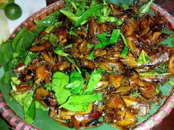 Bọ xít rang lá chanh: Đối với bà con dân tộc Thái tỉnh Sơn La đây món ăn ngon trứ danh. Vị giòn, nhai nghe rôm rốp của bọ xít hòa quyện với mùi thơm, cay nồng của lá chanh khiến món ăn này trở thành đặc sản.