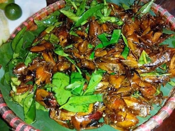 Bọ xít rang lá chanh: Đối với bà con dân tộc Thái tỉnh Sơn La đây món ăn ngon trứ danh. Vị giòn, nhai nghe rôm rốp của bọ xít hòa quyện với mùi thơm, cay nồng của lá chanh khiến món ăn này trở thành đặc sản.