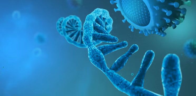 Đa số vắc xin chúng ta sử dụng từ trước đến nay đều được tạo ra dựa trên các mầm bệnh đã được làm suy yếu, giảm độc tính hoặc làm cho bất hoạt dưới tác động của nhiệt và hóa chất.