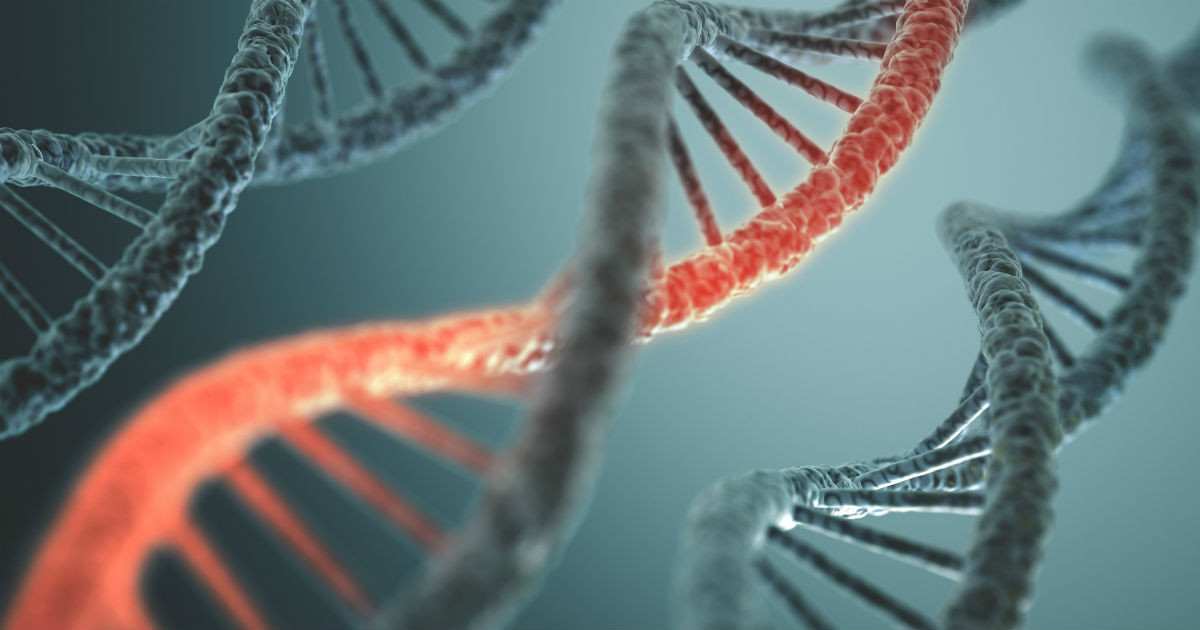 Khi thấy cơ thể xuất hiện nhiều protein gai lạ, hệ miễn dịch sẽ được kích hoạt nhằm tiêu diệt các protein này. Quá trình đó sẽ tạo ra kháng thể để bảo vệ chúng ta không bị nhiễm vi rút SARS-CoV-2 thực sự trong tương lai.