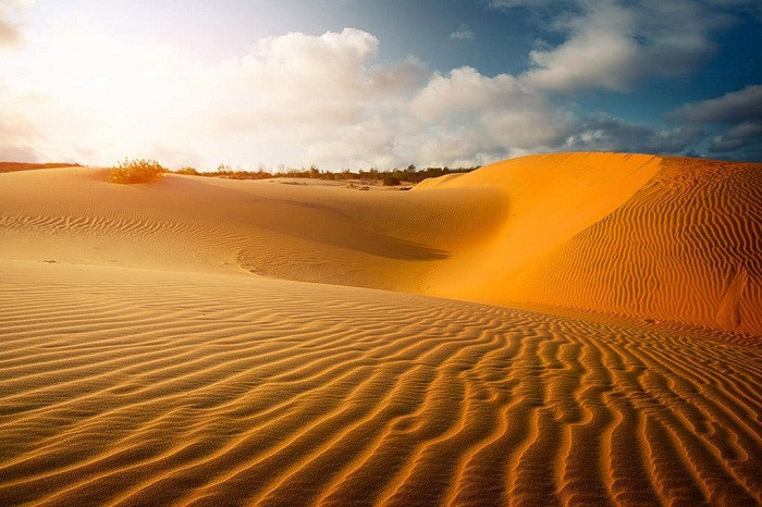 Năm 2007, Đồi cát Mũi Né hay đồi cát bay được ghi nhận vào Kỷ lục Việt Nam là Đồi cát thay đổi hình dạng tự nhiên nhiều nhất.