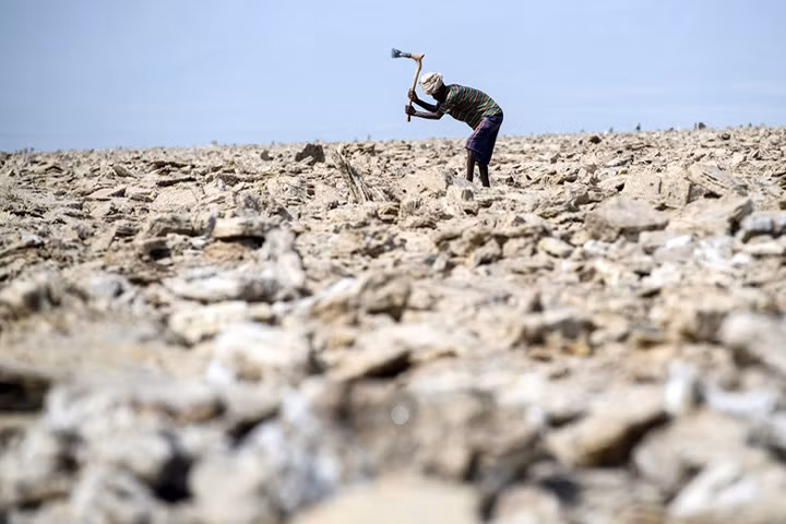 Tiêu thụ ít calo nhất trên thế giới: Trong số 172 quốc gia, Ethiopia chiếm vị trí thứ 167 về mức tiêu thụ calo. Người Ethiopia trung bình tiêu thụ 1.950 calo mỗi ngày, thấp hơn lượng calo tiêu thụ tối thiểu mỗi ngày theo quy định của Tổ chức Y tế Thế giới (2.200 calo).