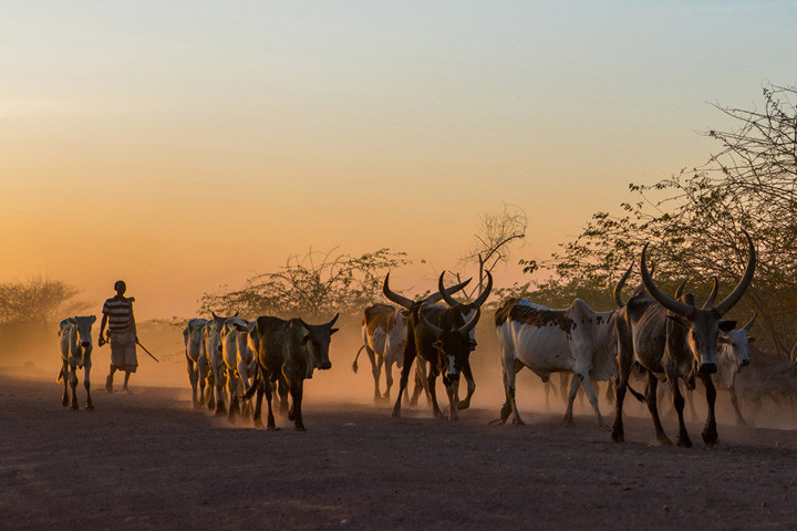 Điều này là do đói nghèo, gần 1/3 dân số ở nước này vẫn ở mức dưới nghèo. Theo một nghiên cứu năm 2008, chỉ 65% hộ gia đình nông thôn kiếm đủ tiền để đáp ứng lượng thức ăn tối thiểu hàng ngày là 2.200 calo.