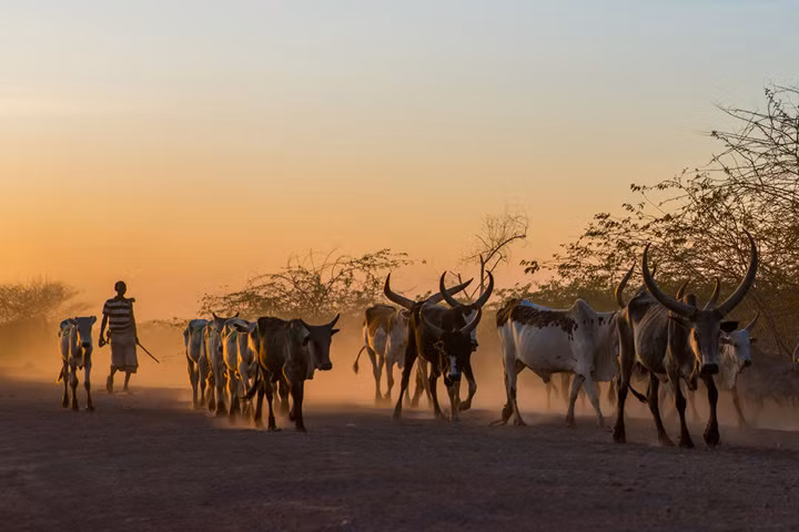 Điều này là do đói nghèo, gần 1/3 dân số ở nước này vẫn ở mức dưới nghèo. Theo một nghiên cứu năm 2008, chỉ 65% hộ gia đình nông thôn kiếm đủ tiền để đáp ứng lượng thức ăn tối thiểu hàng ngày là 2.200 calo.