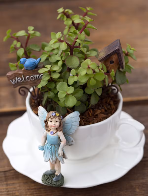 Chỉ cần một chút kiên nhẫn và tỉ mỉ, bạn hoàn toàn có thể tự làm được một vườn cây mini trong tách trà như thế này chỉ với vài loại cây nhỏ, đất trồng, cát, phân bón, sỏi nhỏ hoặc đá màu,...