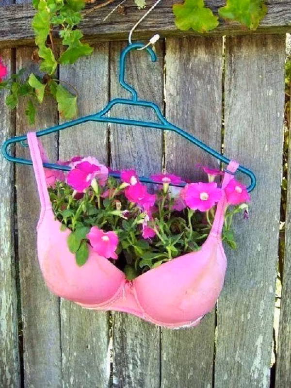 Nhung kieu trong cay ba dao khong bao gio lo “dung hang”