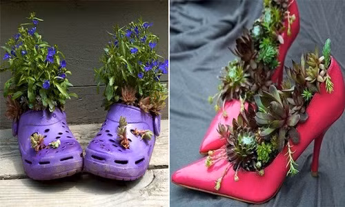 Biến tấu những đôi dép bỏ đi thành chậu hoa ngộ nghĩnh.