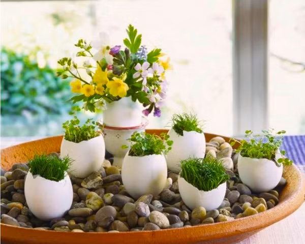 Chỉ cần vài vỏ trứng là bạn đã tạo ra cả một thế giới thu nhỏ tuyệt đẹp.