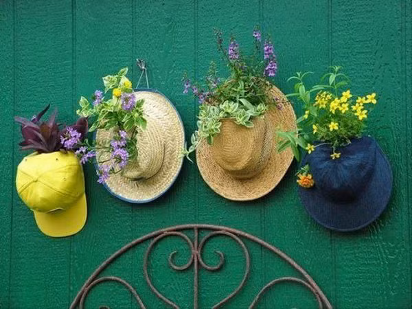 Tái sử dụng những chiếc mũ để trồng cây rồi treo chúng lên trên tường là một ý tưởng không tồi chút nào.