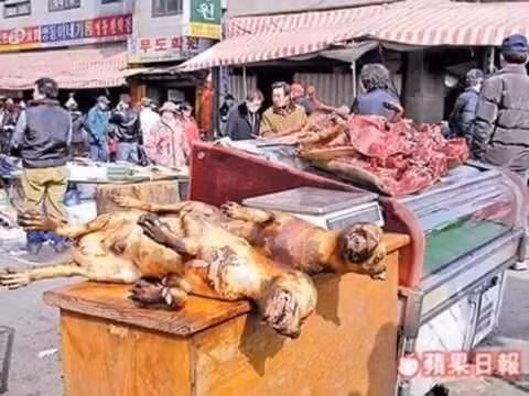 Việc giết mổ tại chợ thịt chó Moran trở thành nỗi ám ảnh với nhiều người. Ảnh: Sina.