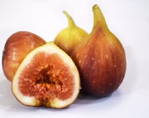 Mặc dù đắt gấp 20 lần sung Việt (300.000 - 350.000 đồng/kg), nhưng sung Mỹ thường xuyên trong tình trạng cháy hàng. Ảnh: Nongnghiep68.