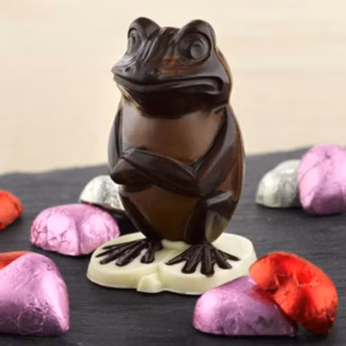 Một chú ếch dễ thương. Ảnh: Ladiesagainstfeminism.