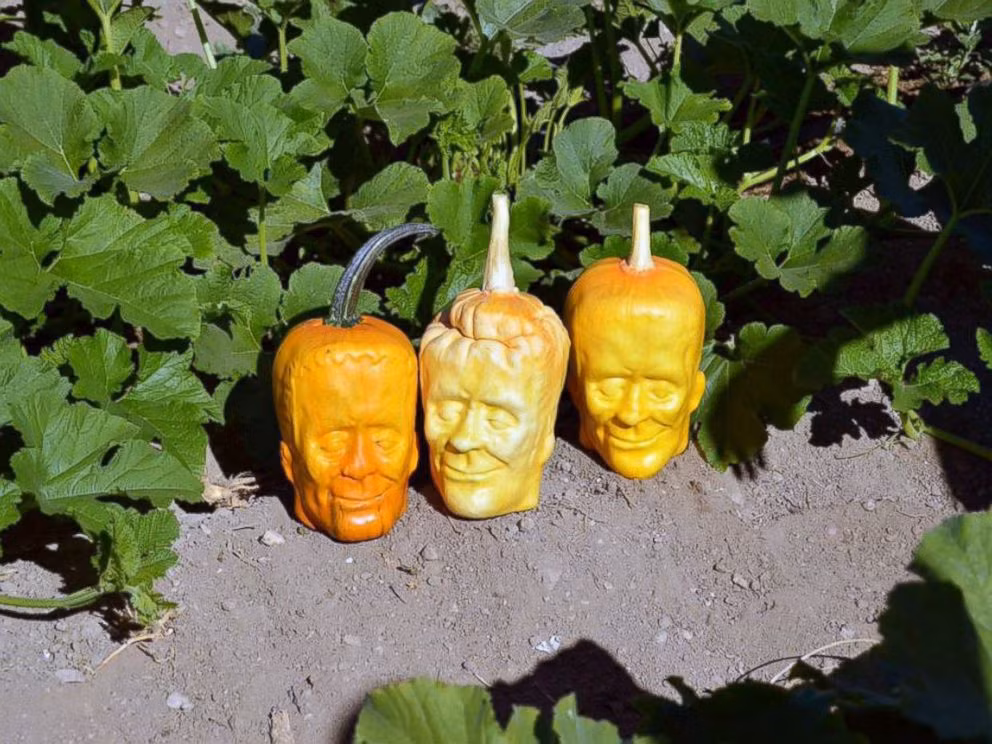 Ban đầu ý tưởng lạ này bắt nguồn từ Nhật Bản, sau đó những chiếc khuôn được sản xuất rộng rãi ở Trung Quốc. Ảnh: Imgur.