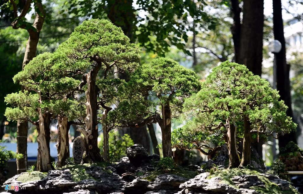 Tác phẩm "Tiếng vọng Côn Sơn" của nghệ nhân Võ Đại Phong, quận Thủ Đức, như một khu rừng thu nhỏ.